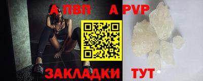стаф Заводоуковск