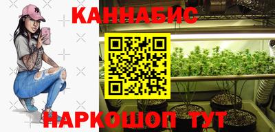 стаф Заводоуковск