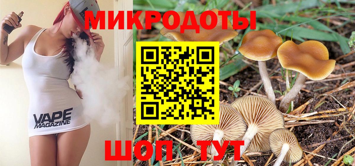 Галлюциногенные грибы мухоморы Гай