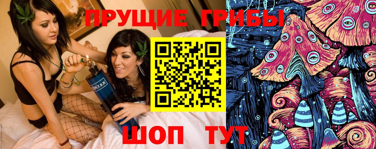 Псилоцибиновые грибы прущие грибы  Вход с VPN  Гай  Псилоцибиновые грибы Psilocybine cubensis 